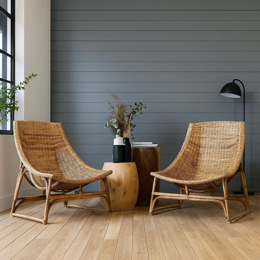 Natural Cane Hammock Lifestyle - IRA Furniture India