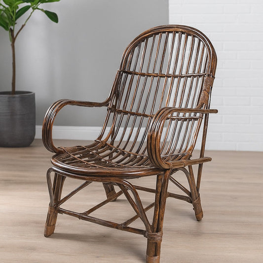 IRA Rattan Easy Chair with cushion