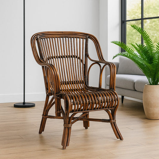 Southampton Armchair Lifestyle - IRA Furniture Brown India