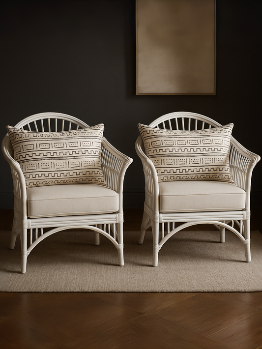 IRA White Living Room Chair – Set of 2 with Cushions, Ideal for Living Room, Office, Balcony, and Outdoor Spaces