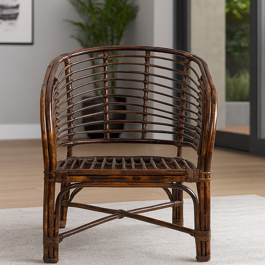 IRA Rattan Elegant Arm Chair with Cushion