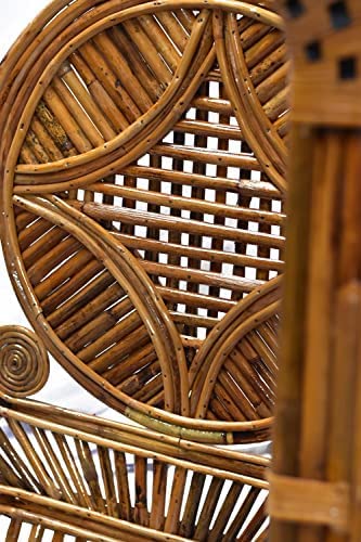 IRA Wooden Cane Swing Chair with Cushion & Accessories – Perfect for Balcony, Garden, Living Room, and Patio