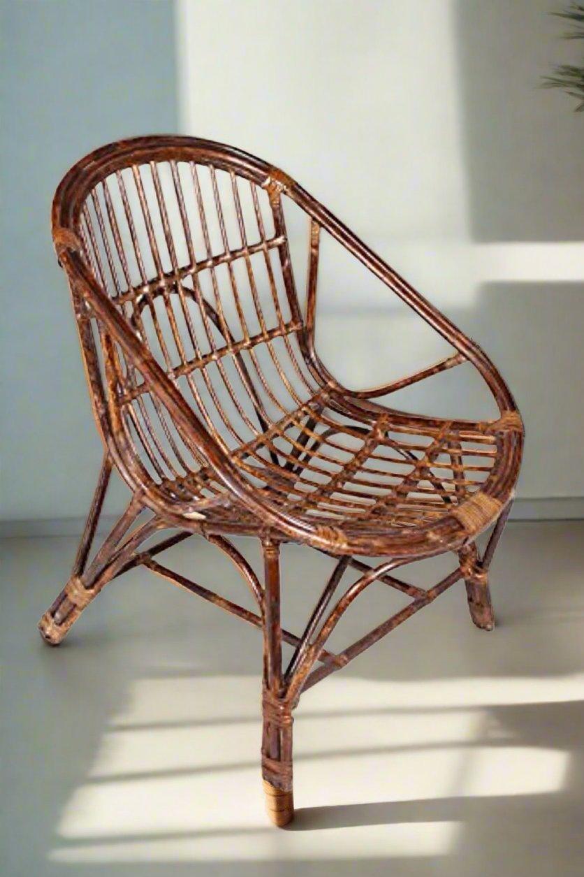 IRA Art Living Room Rattan Arm Chair with Cushion - IRA Furniture