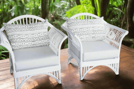 IRA White Living Room Chair – Set of 2 with Cushions, Ideal for Living Room, Office, Balcony, and Outdoor Spaces