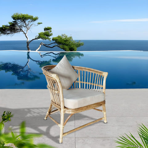 IRA Cane Seating chair (Beige, Pre-Assembled)