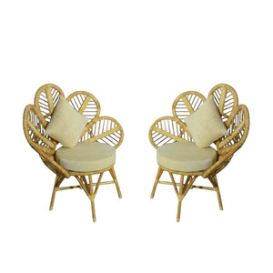 IRA Cane Chairs Set