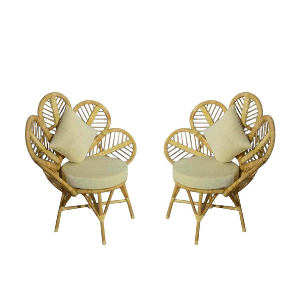 IRA Cane Chairs Set