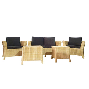 IRA Wicker Rattan Sofa Set